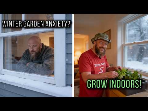 9 Vegetables You Can Actually Grow Indoors This Winter (No Greenhouse Needed!)