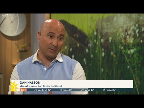 Forskaren: Så lyckas du stressa ner under semestern - Nyhetsmorgon (TV4)