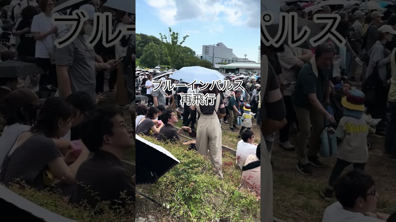 ついにブルーインパルスが！