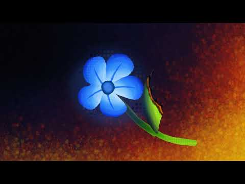 Empyrean Suite (Grindcore Edition)