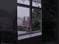 Snow Falling