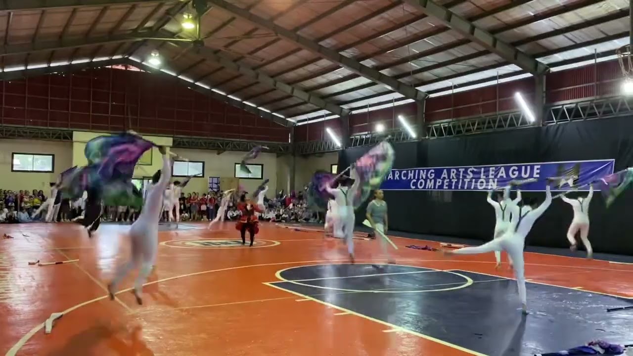 Marching Art League Colorguard Ensemble - Open Class Division | Champion