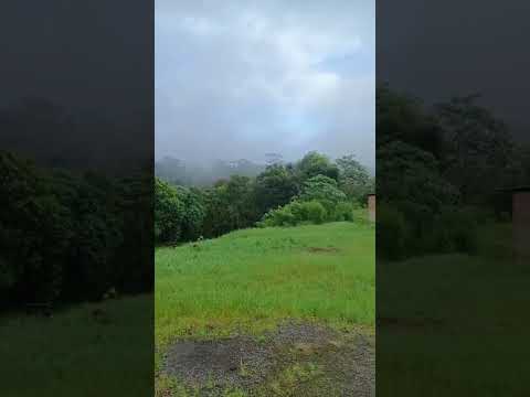 #fauna #natureza #cidade#turvo##paraná