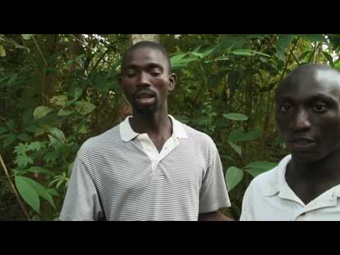 Fuego Venenoso / Foc Verinós (Poison Fire con subtítulos en castellano y en catalán)