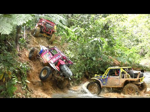 BORNEO SAFARI 2019 - By; K'NetH De CrockeR (SS5 - Part3) (Part24)