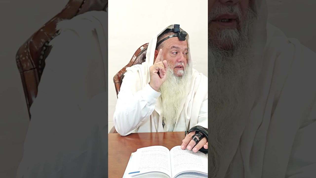 שער הביטחון | סבב שני - פרק 215