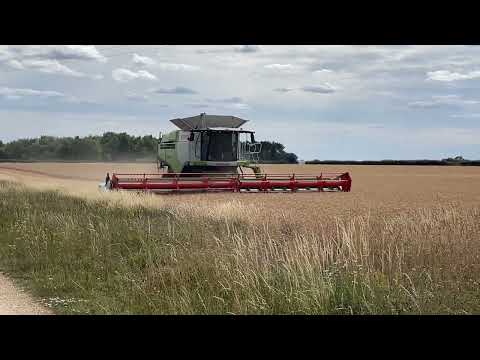 Claas lexion 770 winter wheat 2025