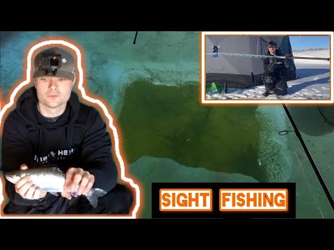 Sight Fishing For Rainbow Trout! | ICE FISHING