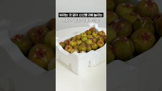 제철 무화과 보관 방법(냉장/냉동) #무화과 #무화과보관