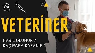 Veteriner nasıl olunur ? Veteriner kaç para kazanır ?