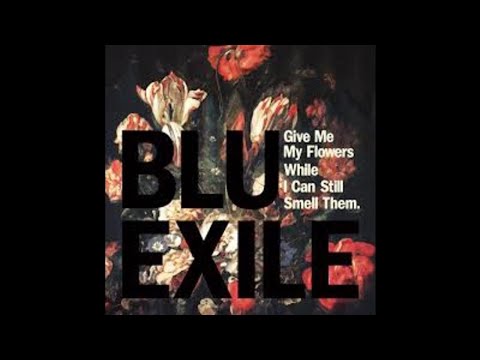 Blu & Exile "Maybe One Day (feat Black Spade)"