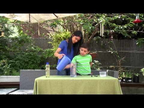 Fun Science Activity for Kids: Making a Lava Lamp