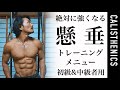 [字幕解説] 懸垂を強化する！初級&中級者向けトレーニングメニュー！ [カリステニクス･自重トレ][モデル]