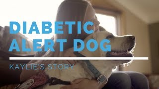 Diabetic Alert Dog Feature: Kaylie