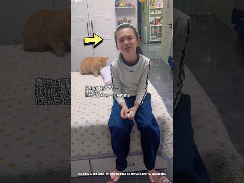 This girl's loyal puppy is over 🐶💔😖 | Unbelievable 😨