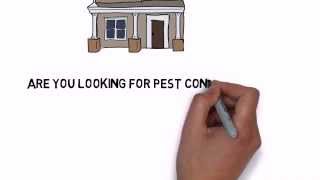 preview picture of video 'Franklin Square NY Pest Control | Pest Control in Franklin Square New York'