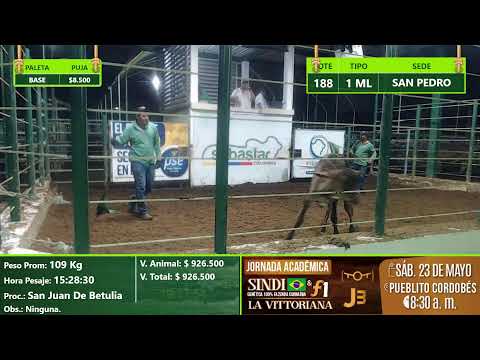 Subasta Virtual - Presencial San Pedro (E)17 06/05/2026