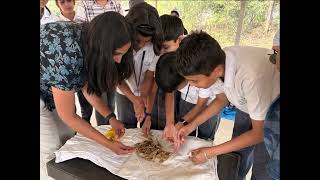 Daffodil International School Video