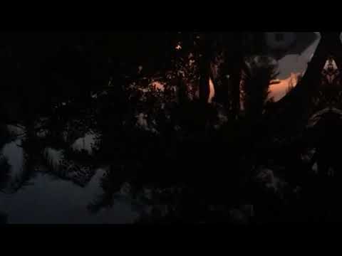 Unjin - Tail of Us [KZN002]