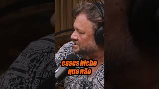 O DIA QUE RICHARD RASMUSSEN DESMENTIU OS MITOS DA COBRA CANINANA #richardrasmussen #cobra #caninana