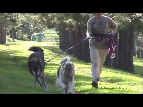 TRUE WOLF OFFICIAL THEATRICAL TRAILER 2012