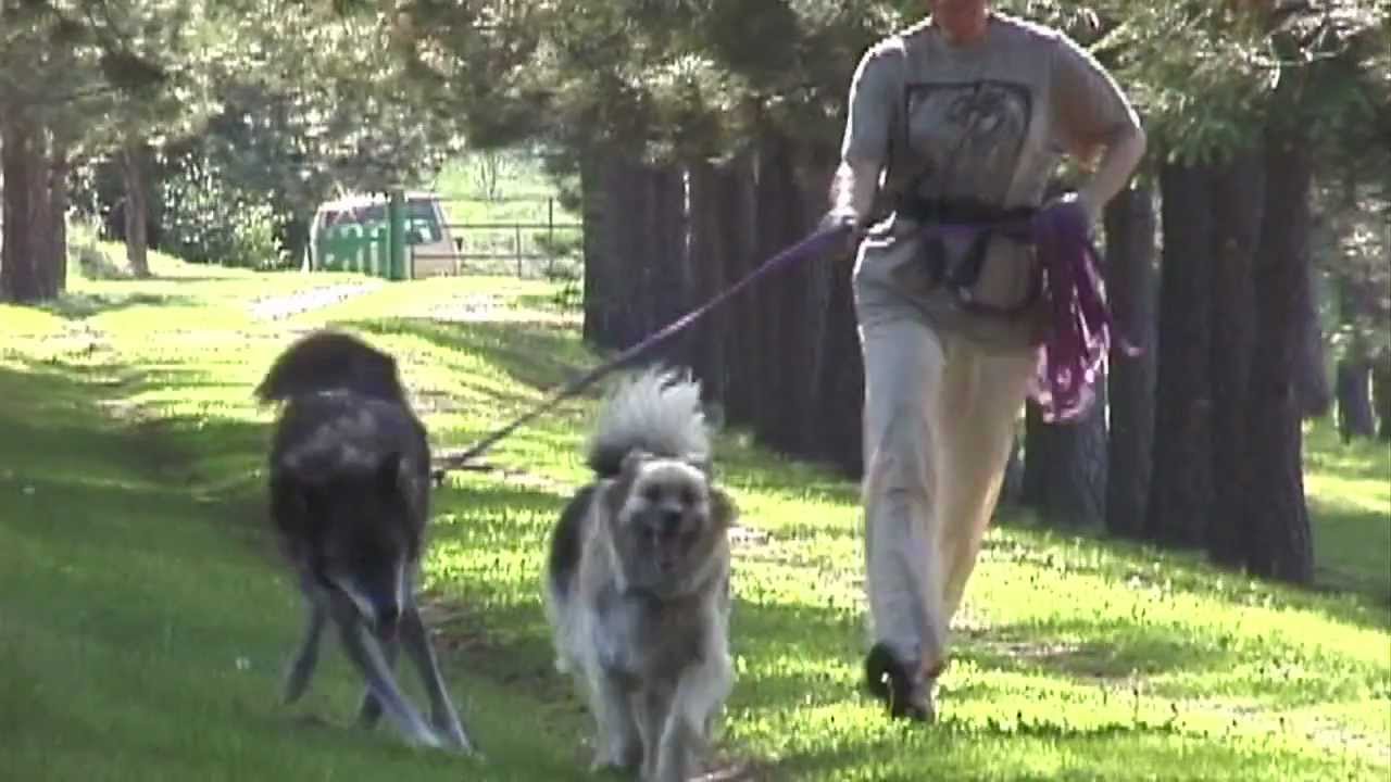 TRUE WOLF OFFICIAL THEATRICAL TRAILER 2012