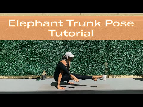 Elephant Trunk Pose (Eka Hasta Bhujasana) Tutorial | Yoga Arm-Balancing Postures