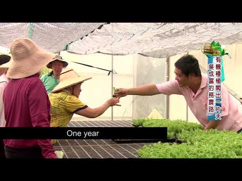 The 1st 100 young farmers – Wu Cheng-fu, Pingzhen