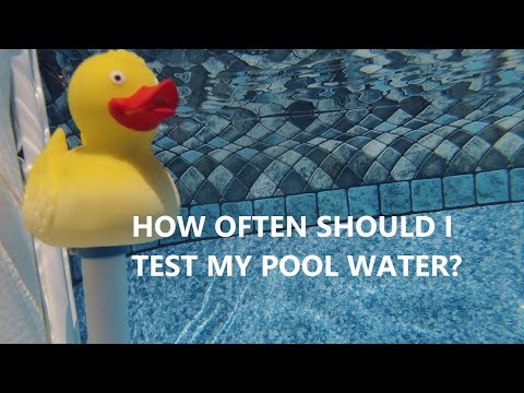 How Often Should I Test My Pool Water?