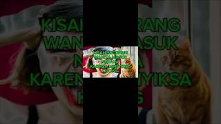 Download lagu KISAH WANITA MASUK NERAKA KARENA MENYIKSA KUCING mp3 Download lagu KISAH WANITA MASUK NERAKA KARENA MENYIKSA KUCING mp3