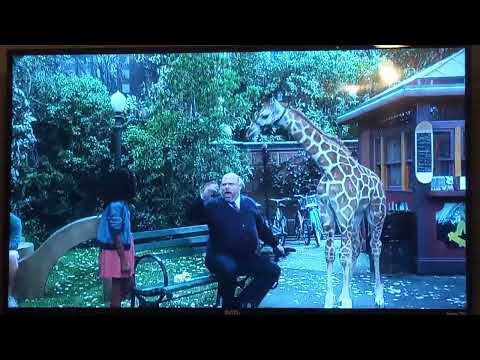 jessie: moby and Scoby zuri cactus bertram 😱