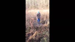 Releasing a skunk out of a dog proof trap 2014