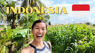 Travel vlog - Bali Off the Beaten Path ๐ด Treehouse Stay, Cooking Class & Beaches