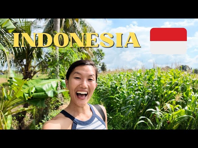 Travel vlog - Bali Off the Beaten Path 🌴 Treehouse Stay, Cooking Class & Beaches