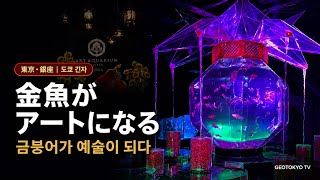 【東京・銀座】金魚がアートになる瞬間|アートアクアリウム美術館 GINZA|금붕어가 예술이 되는 순간