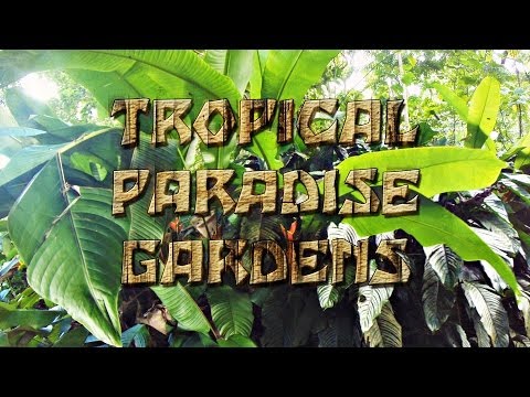 Tropical Paradise Gardens 3D