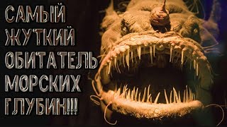 Как поймать морского черта