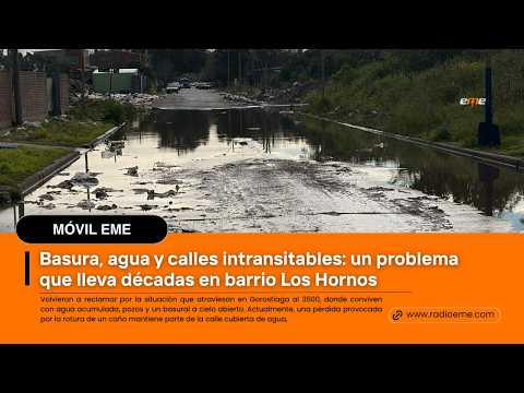 Basura, agua y calles intransitables: un problema que lleva décadas en barrio Los Hornos