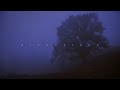 øneheart Voices