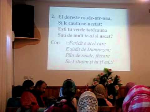 Adunarea tiganilor-Valea Badenilor 2