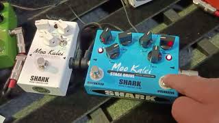 รีวิว shark moo stage drive , moo overdrive หมูขาวหมูฟ้า  ส่ง คุณ วราวุฒิ