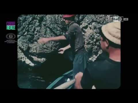 Cortoreale - I corti di Romolo Marcellini