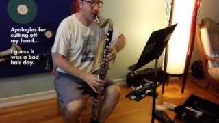 Rose 40 Studies, No. 14: So you want to be a Bass Clarinet player