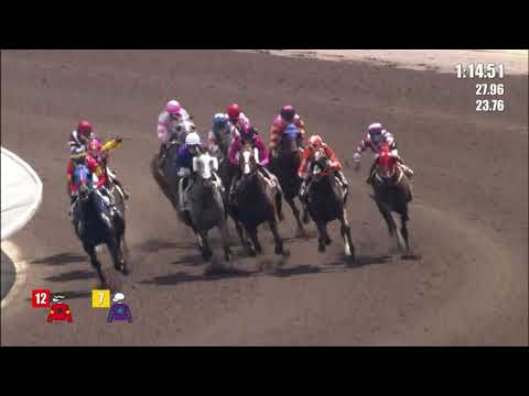 19/9/2021 (39) Apolar Warrior - H Bentley