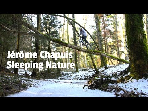 JEROME CHAPUIS - SLEEPING NATURE