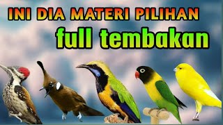 Download lagu MASTERAN FULL TEMBAKAN SUARA JERNIH MUDAH DITIRUKAN UNTUK MURAI BATU mp3