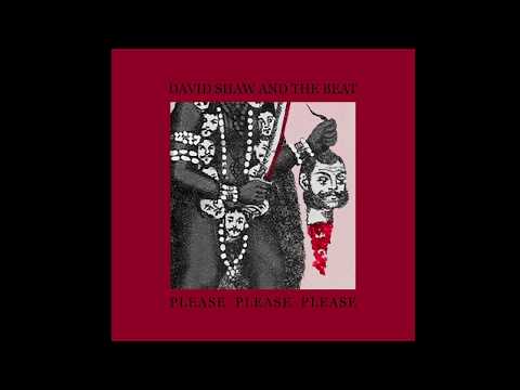 David Shaw and The Beat - Please Please Please (audio)