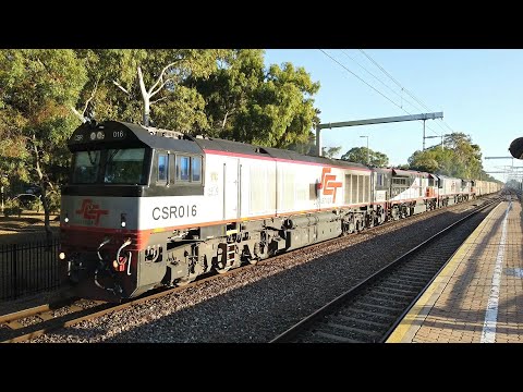 CSR016 + SCT005 + CSR019 + SCT006 #3PM9