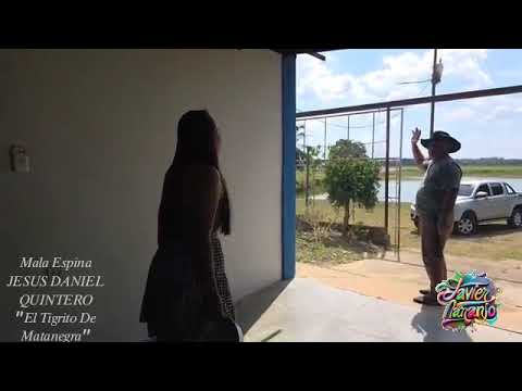 MALA ESPINA(L y M: JESUS DANIEL QUINTERO/Arpa: JULITO GONZALEZ)-JESUS DANIEL QUINTERO 