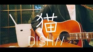 【ギター弾き語り】猫／DISH// (Cover)